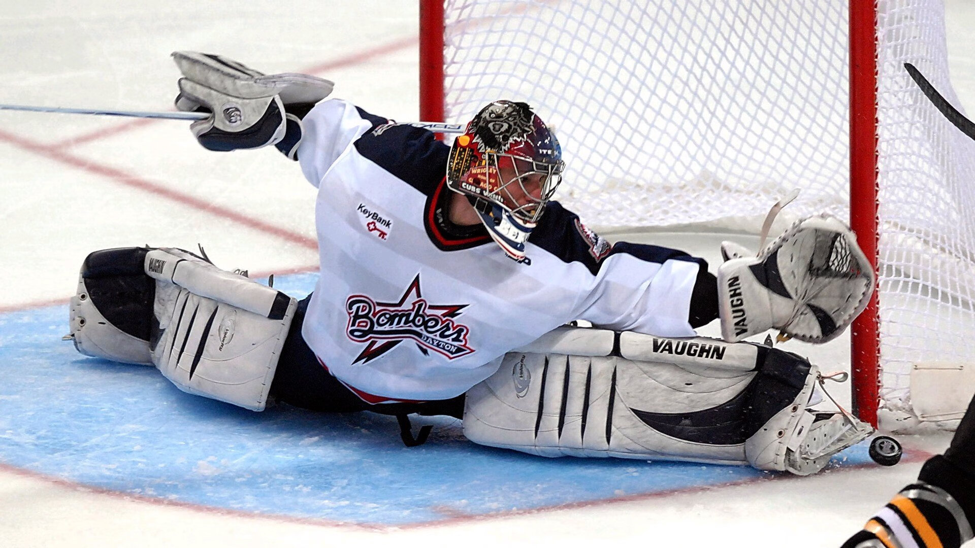 体育迷关注度持续上升